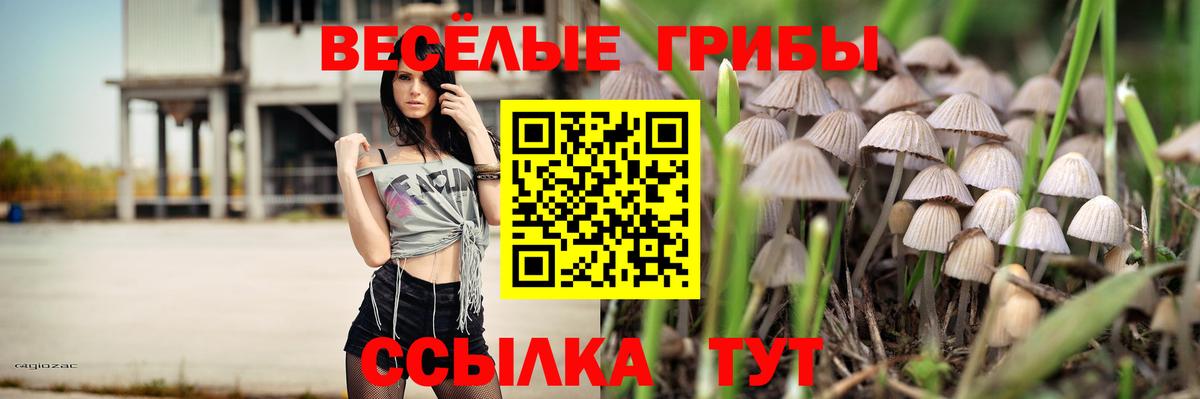Артём  Псилоцибиновые грибы Cubensis  цена   Вход с VPN 